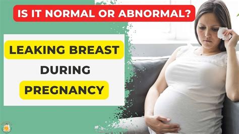 leaking breasts during pregnancy|Understanding The Timing Of Breast Leaking During Pregnancy